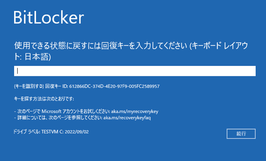 【専門業者が解説】BitLockerを解除できない原因と対処法
