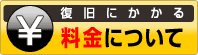 ɂ闿