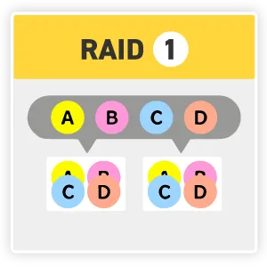 RAID1