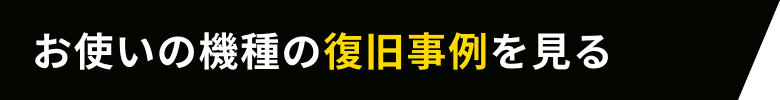 お使いの機種の復旧事例を見る