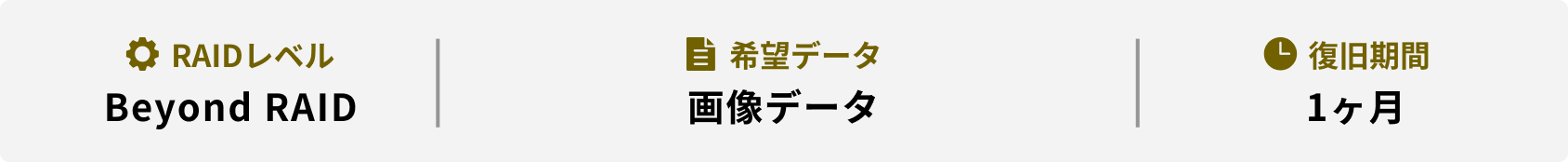 RAIDレベル 希望データ 復旧期間 Beyond RAID 画像データ 1ヶ月