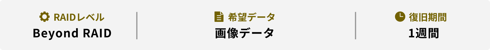 RAIDレベル 希望データ 復旧期間 Beyond RAID 画像データ 1週間