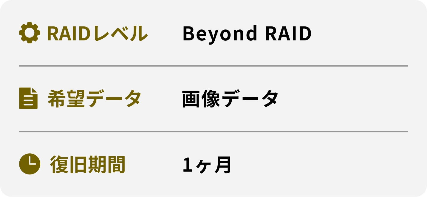 RAIDレベル 希望データ 復旧期間 Beyond RAID 画像データ 1ヶ月