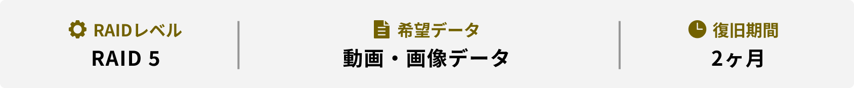 RAIDレベル 希望データ 復旧期間 RAID 5 動画・画像データ 2ヶ月
