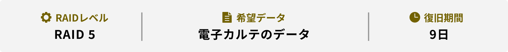 RAIDレベル 希望データ 復旧期間 RAID 5 電子カルテのデータ 9日