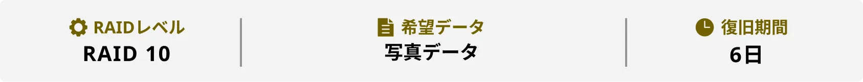RAIDレベル RAID1 希望データ 写真データ 復旧期間 6日